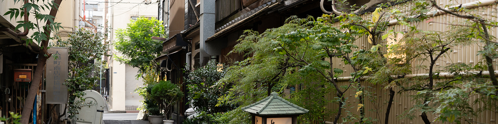 診療案内ヘッダー画像