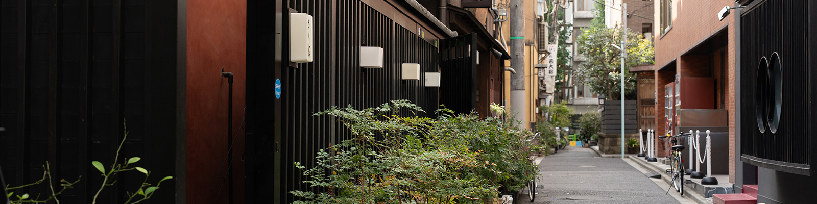 投稿ヘッダー画像