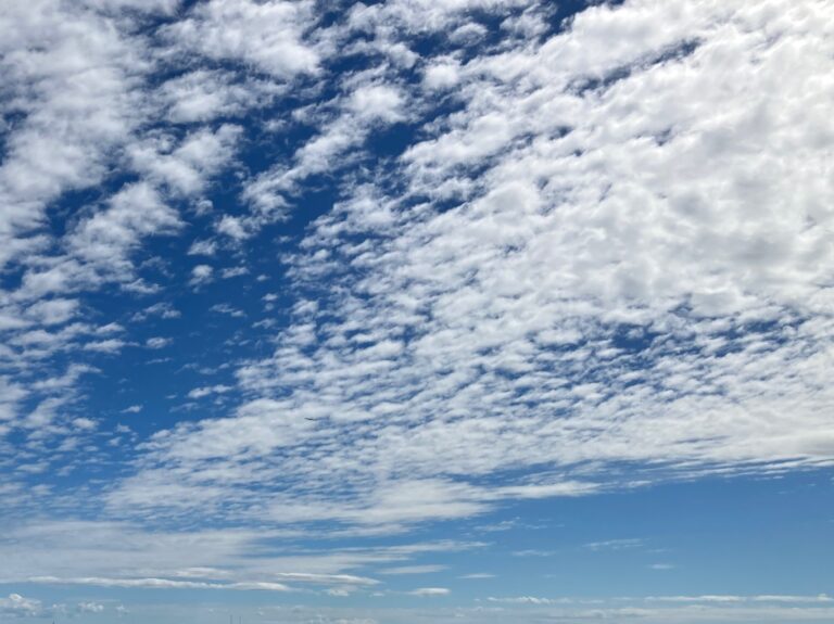 久しぶりの気持ち良い青空